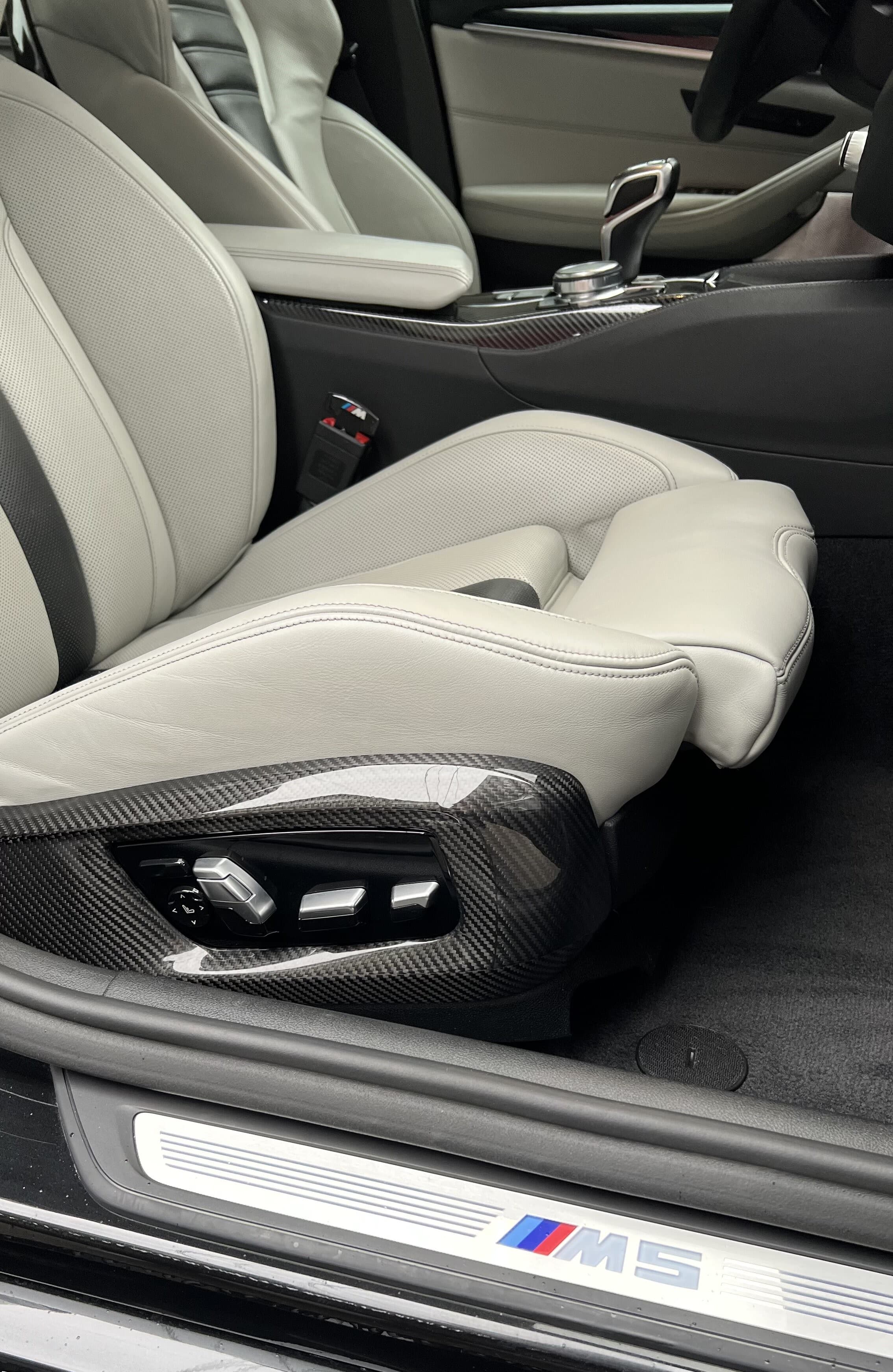 Carbon seat side trim